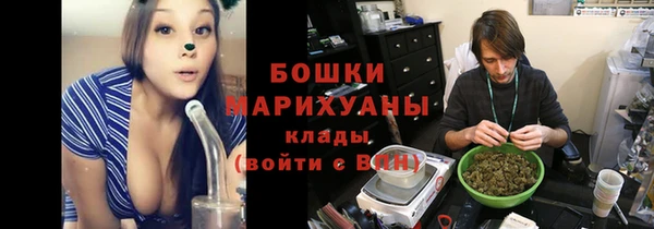 мет Алексин