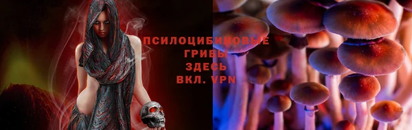 тгк Алексеевка